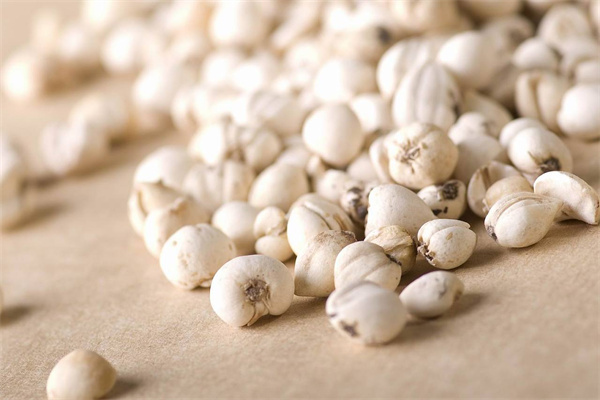 綠生藥業 專注天然養身，科技賦能保健食品新未來